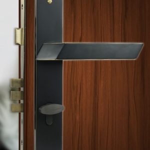 Indian Premium Design Pure Brass Lock. DLB-1030